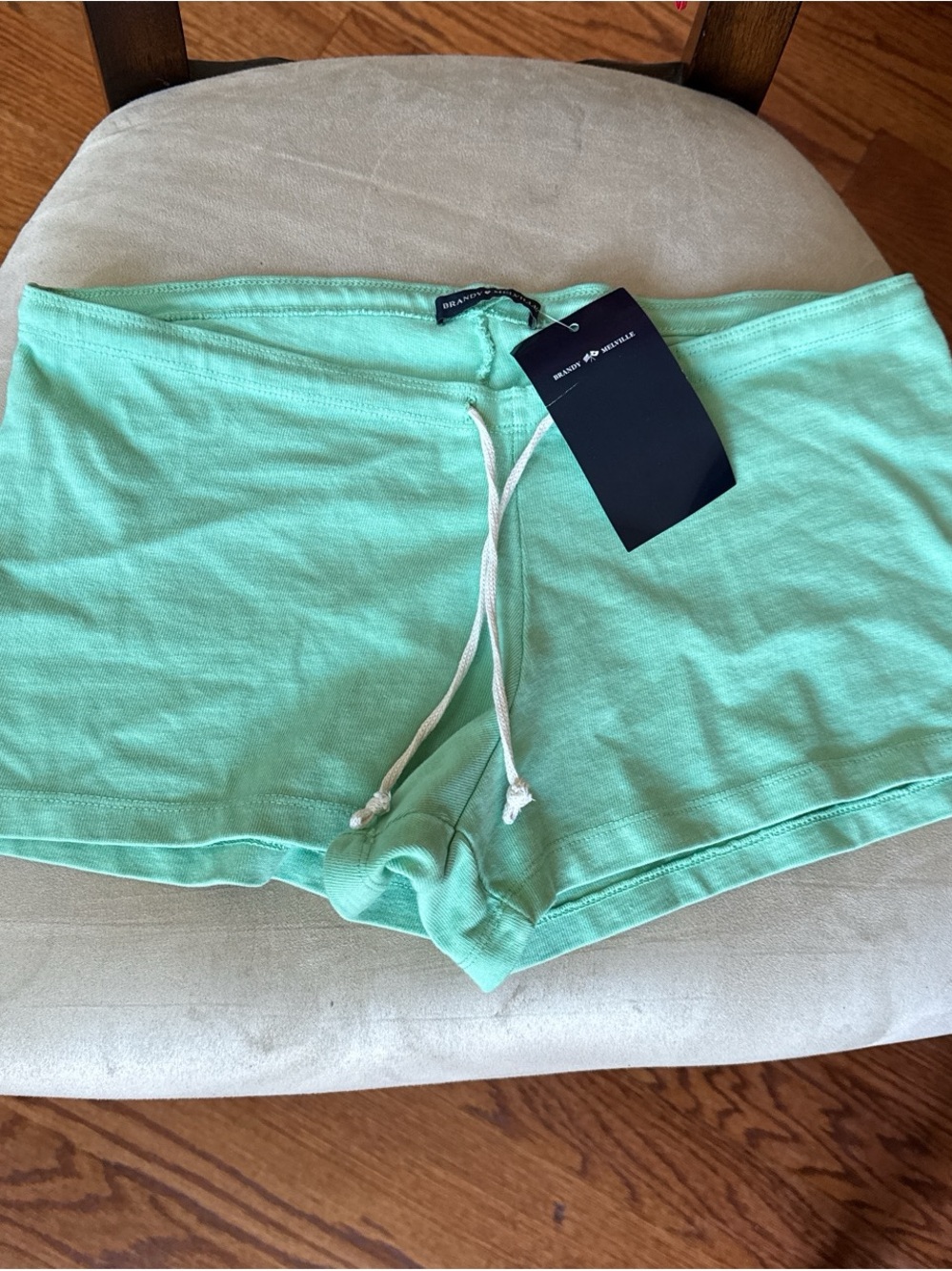 Brandy Melville Mint Green Emery Shorts